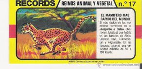 Collectable Antique Stickers: BIMBO -- RECORDS -- Nº 17